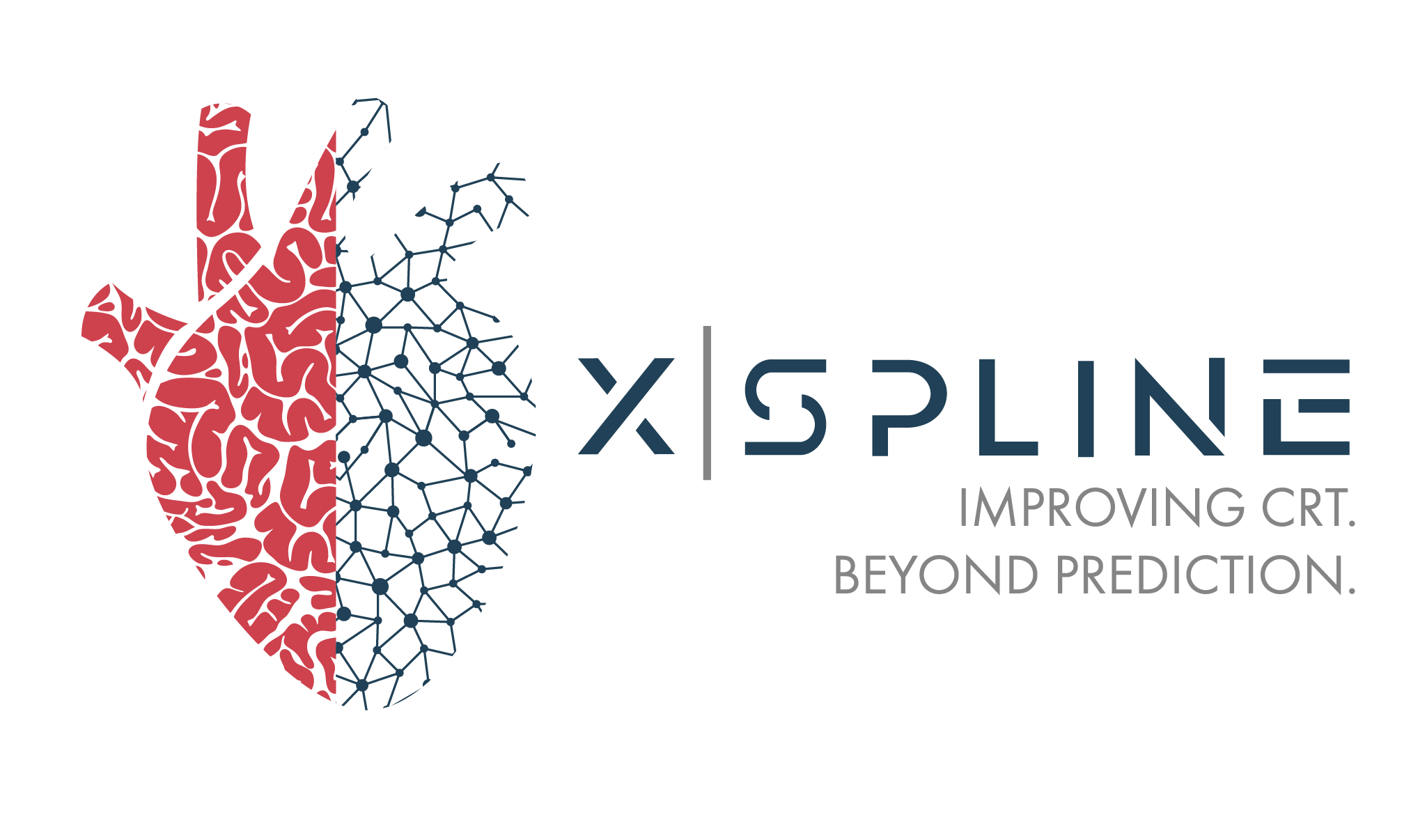 XSpline Cloud